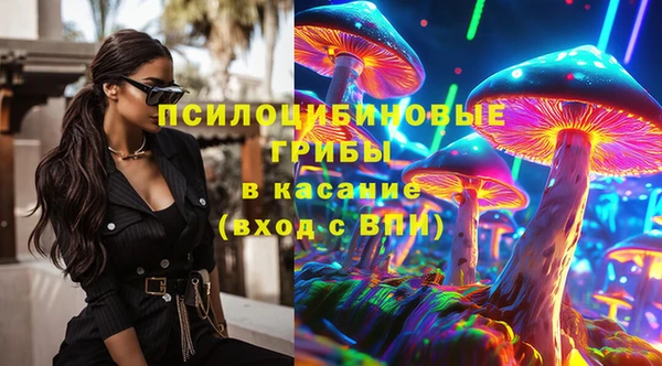 хмурый Алзамай