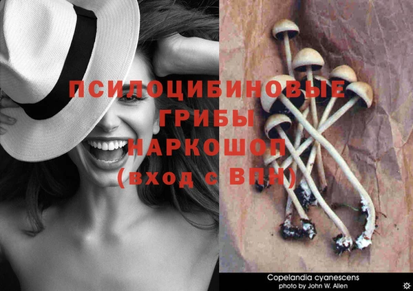 каннабис Алексин