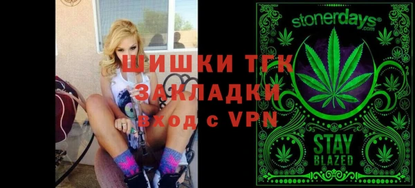хмурый Алзамай
