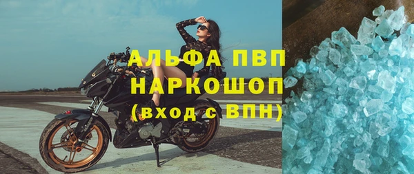 хмурый Алзамай