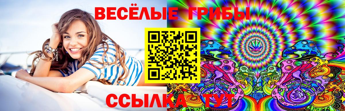 Псилоцибиновые грибы Magic Shrooms Бахчисарай