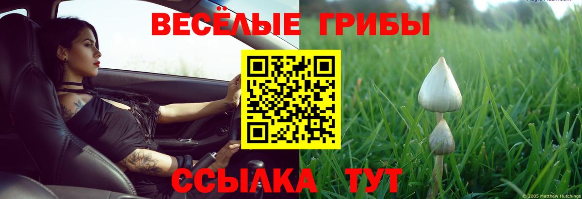 Бахчисарай  Псилоцибиновые грибы ЛСД  Вход с VPN 